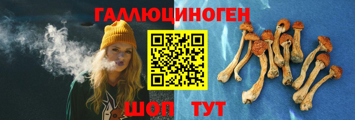 Ливны  Псилоцибиновые грибы MAGIC MUSHROOMS  Вход с VPN 